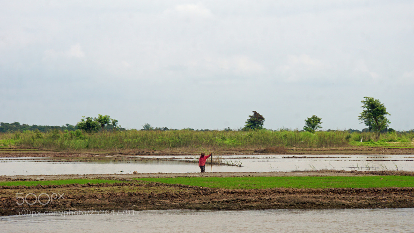 Sony a6000 sample photo. Siem reap, tonle sap photography