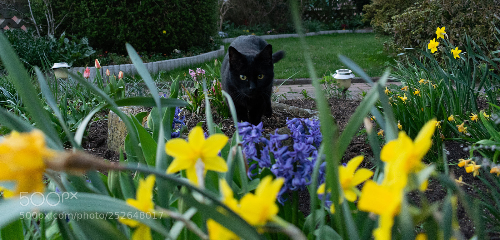 Nikon D5300 sample photo. Moka photography