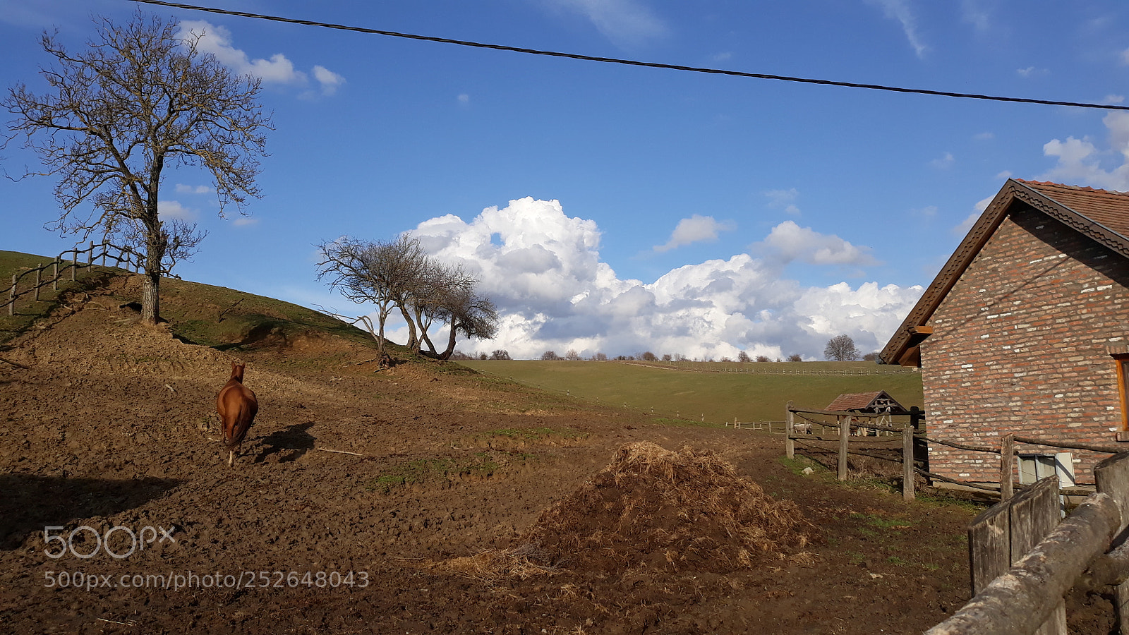 Samsung Galaxy J5 sample photo. 20180315_155922.jpg photography
