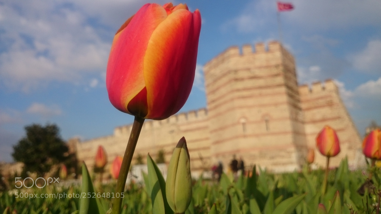 Sony Xperia Z2 sample photo. Istanbul, tulip park photography