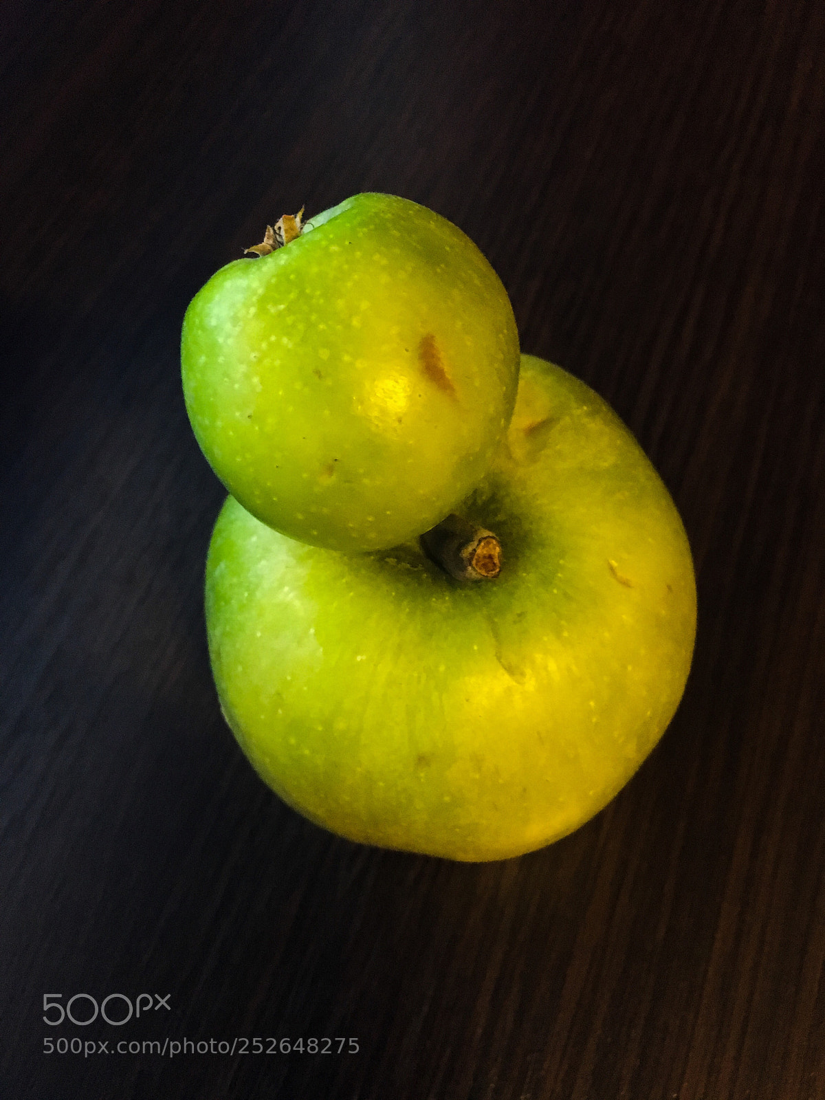 Apple iPhone 6s Plus sample photo. Apple twins photography