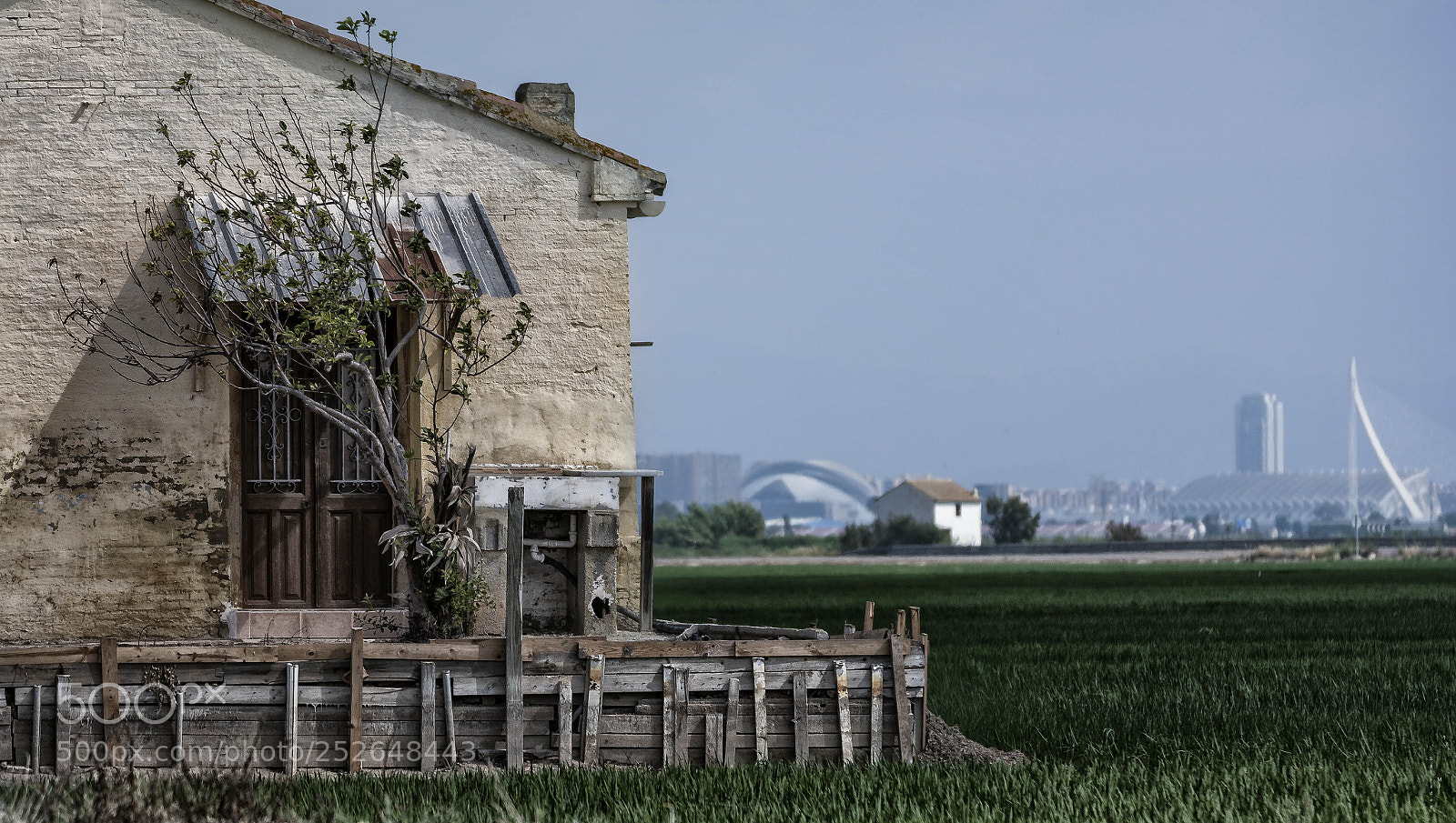 Nikon D7100 sample photo. Contrasts photography