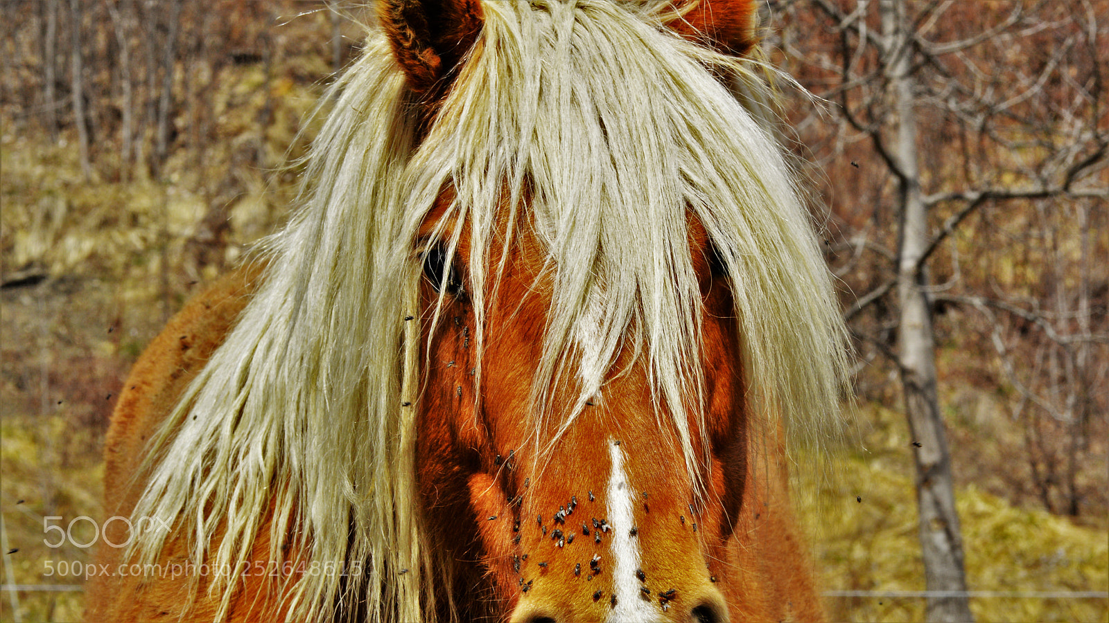 Nikon D3200 sample photo. Untitled photography