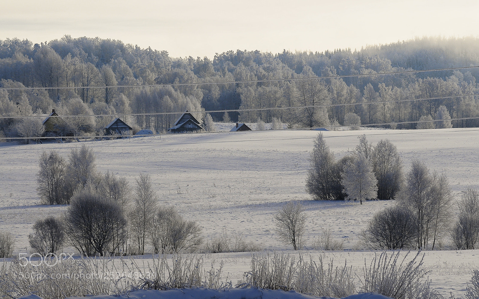 Nikon D300 sample photo. Winter rural scene photography