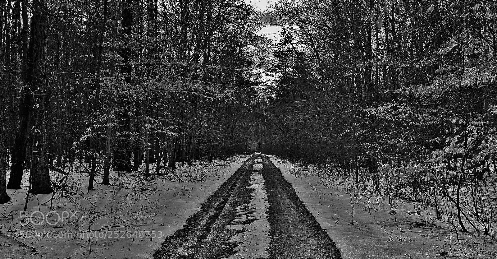 Samsung Galaxy S6 sample photo. Black white telegraph road photography