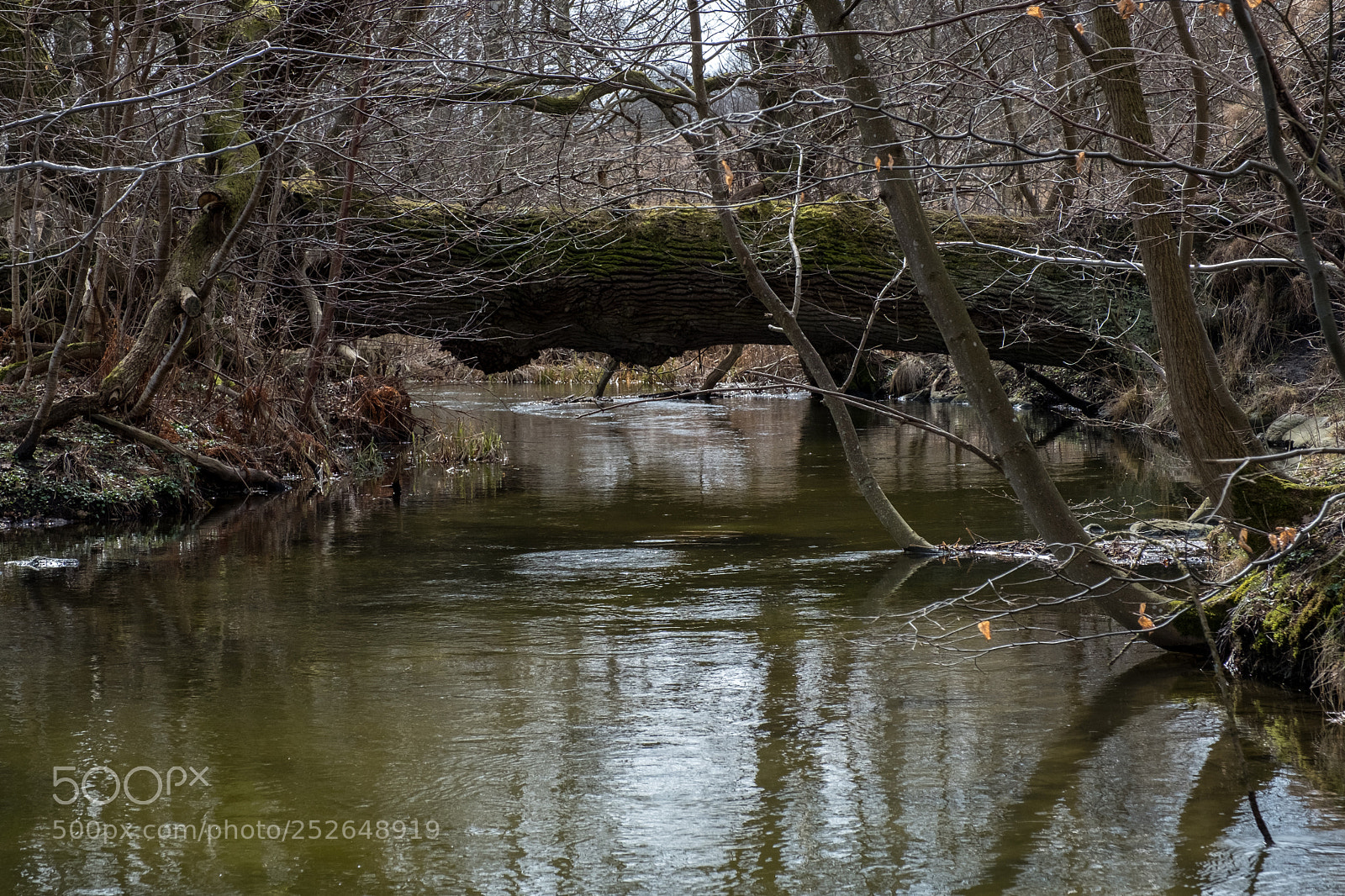 Fujifilm X-T2 sample photo. The river. photography