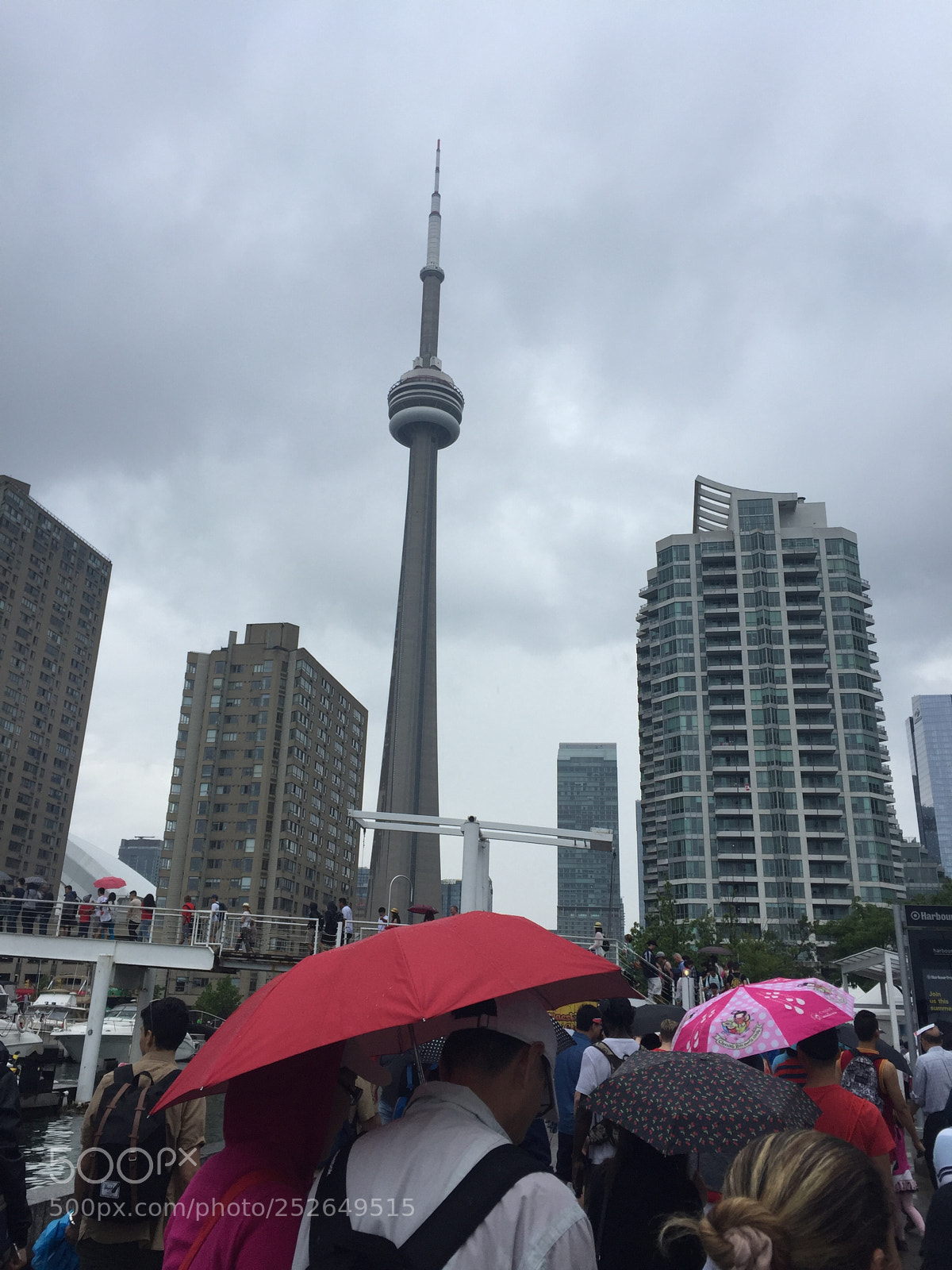 Apple iPhone 6 Plus sample photo. Img photography