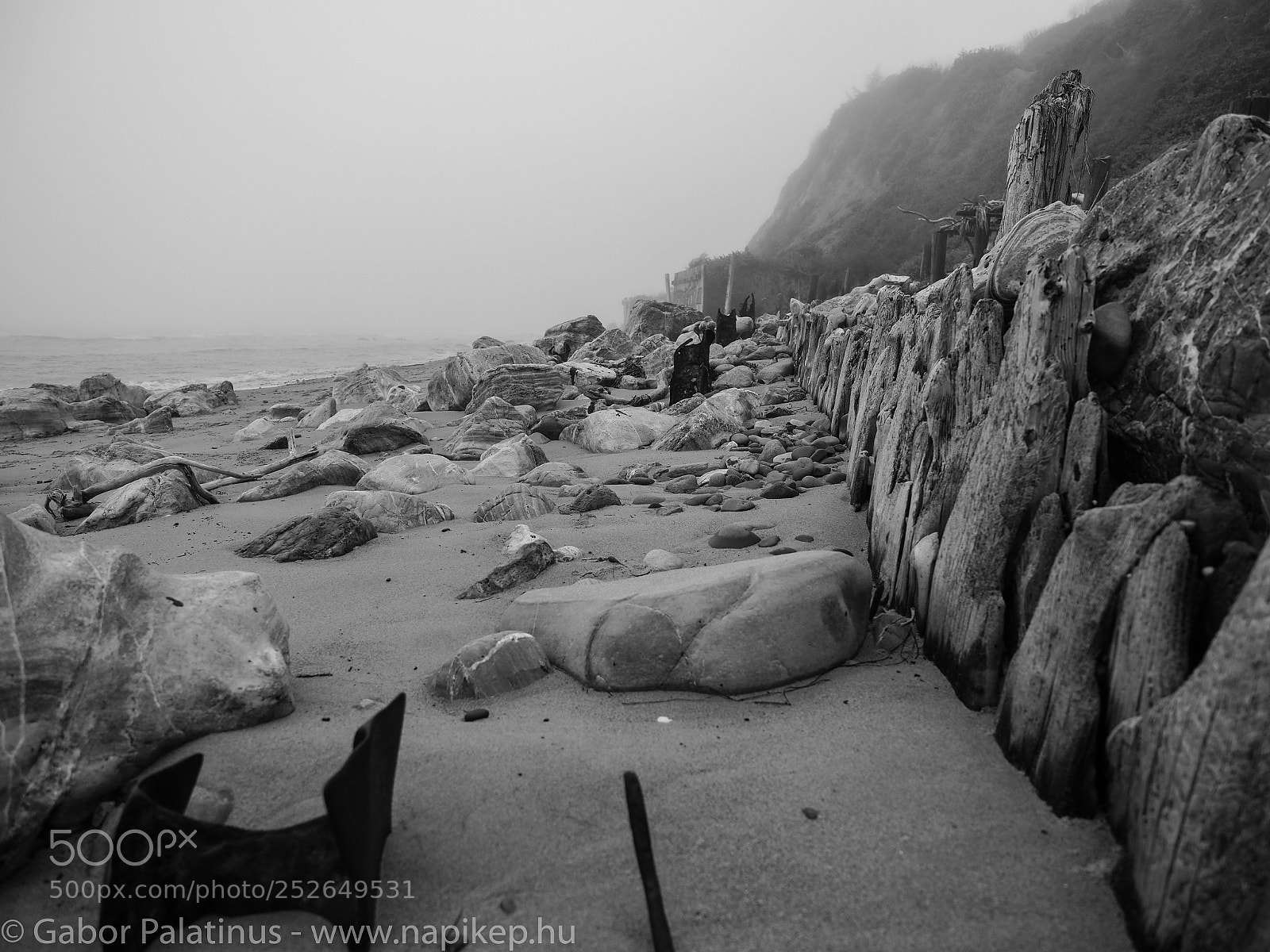 Olympus PEN-F sample photo. Goleta see side photography
