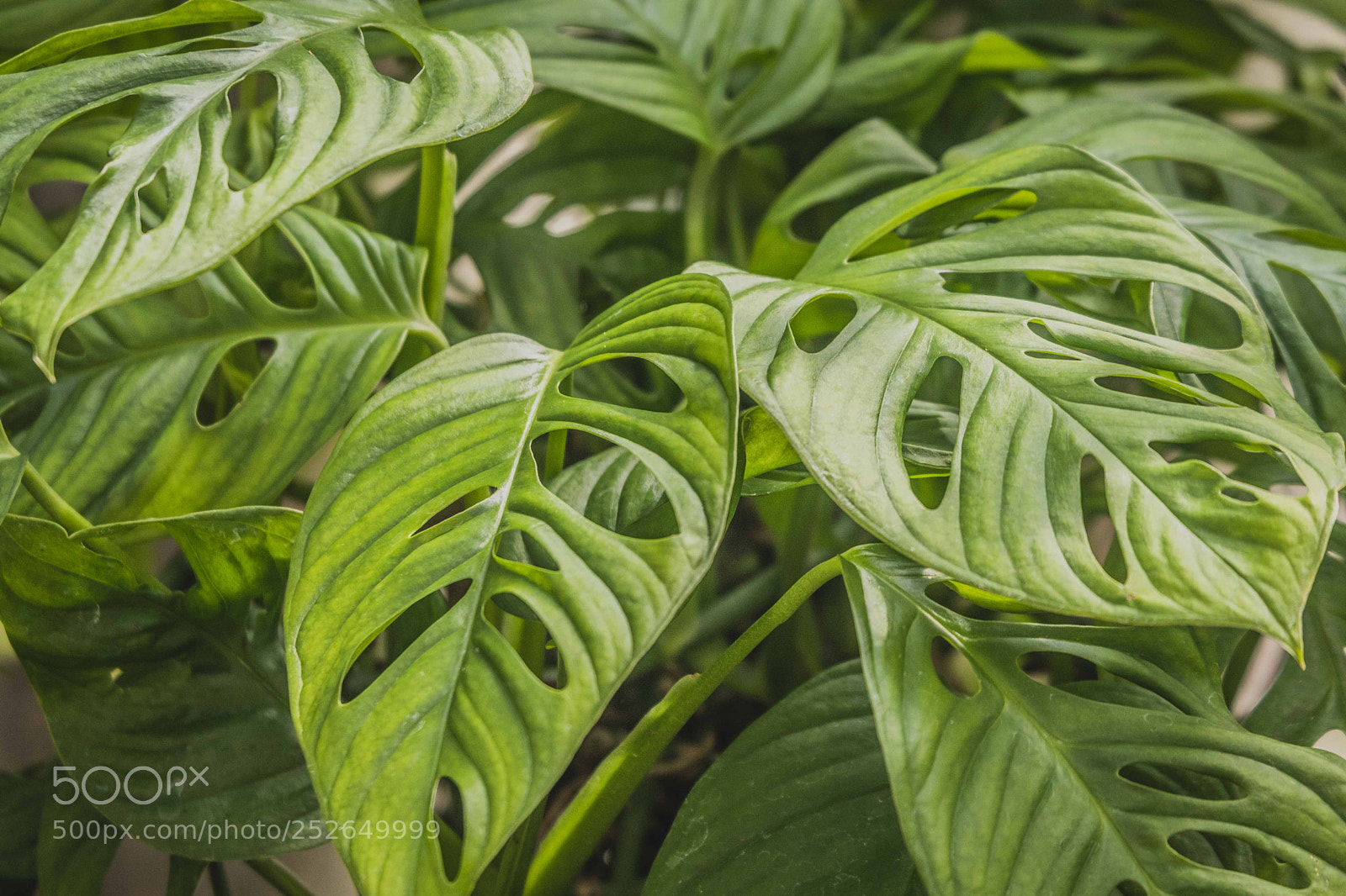 Canon EOS 80D sample photo. Untitled photography