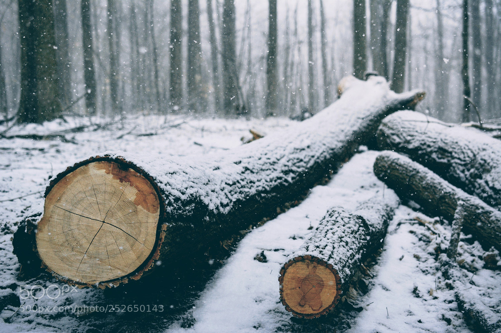 Nikon D7100 sample photo. Fallingsnow2 photography