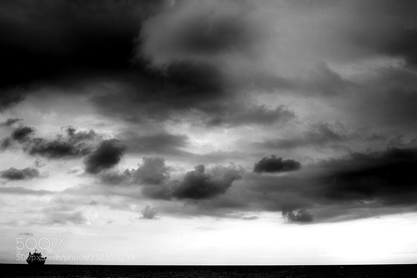 Canon EOS 5D sample photo. Untitled photography