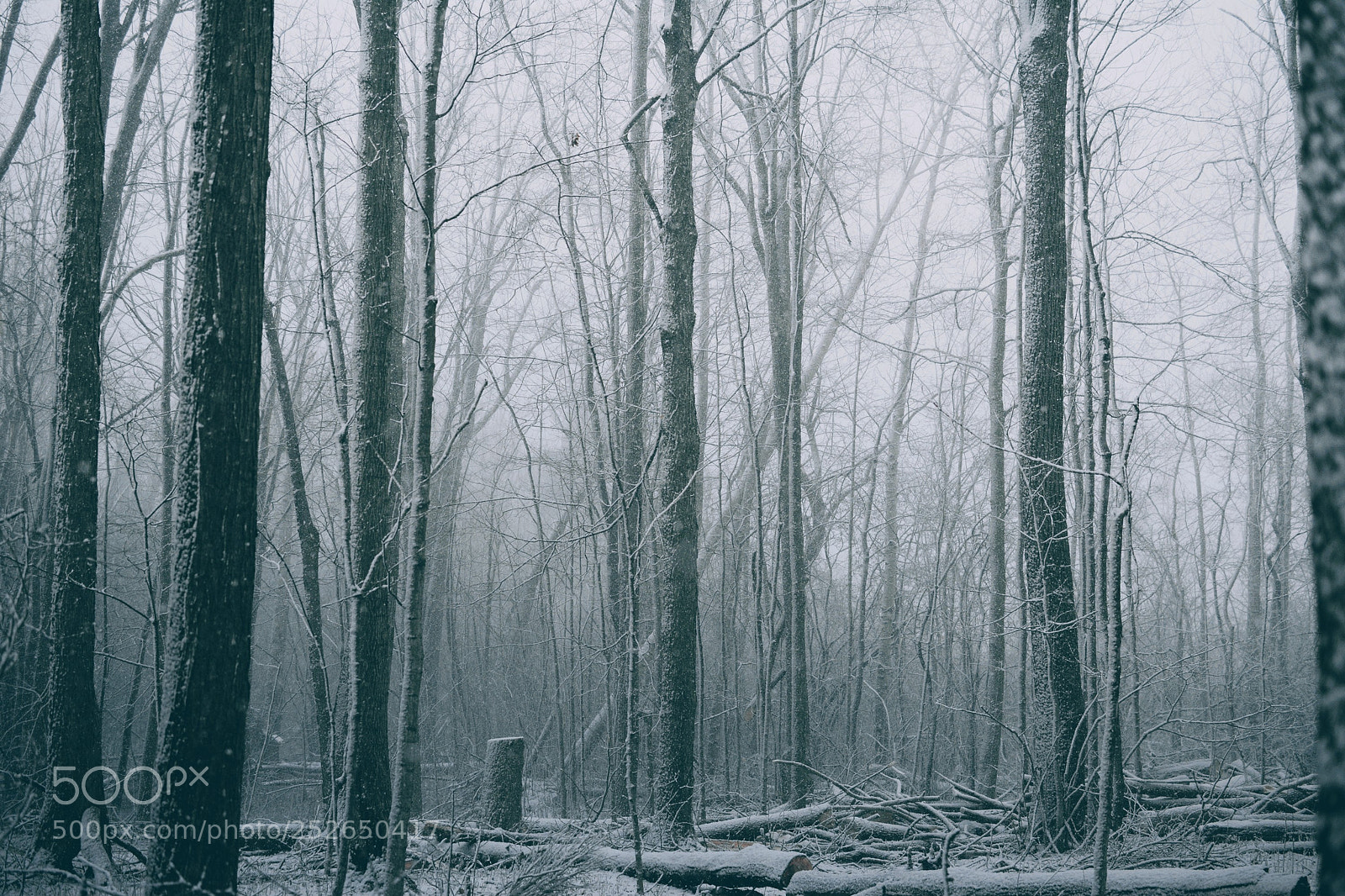 Nikon D7100 sample photo. Fallingsnow3 photography