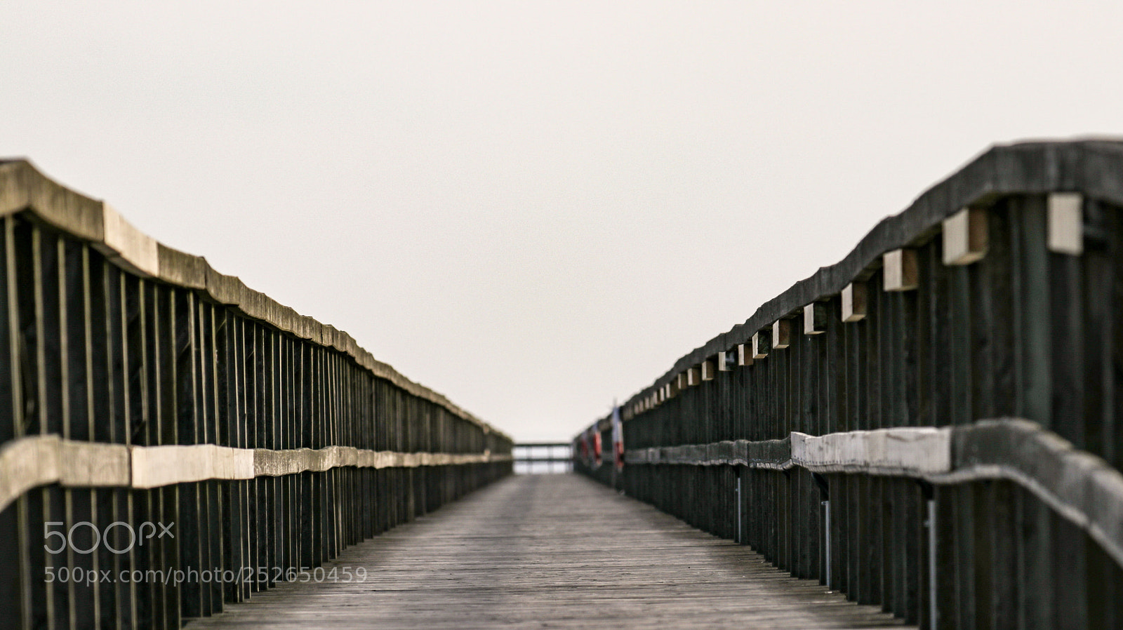 Canon EOS 80D sample photo. Along the pier photography