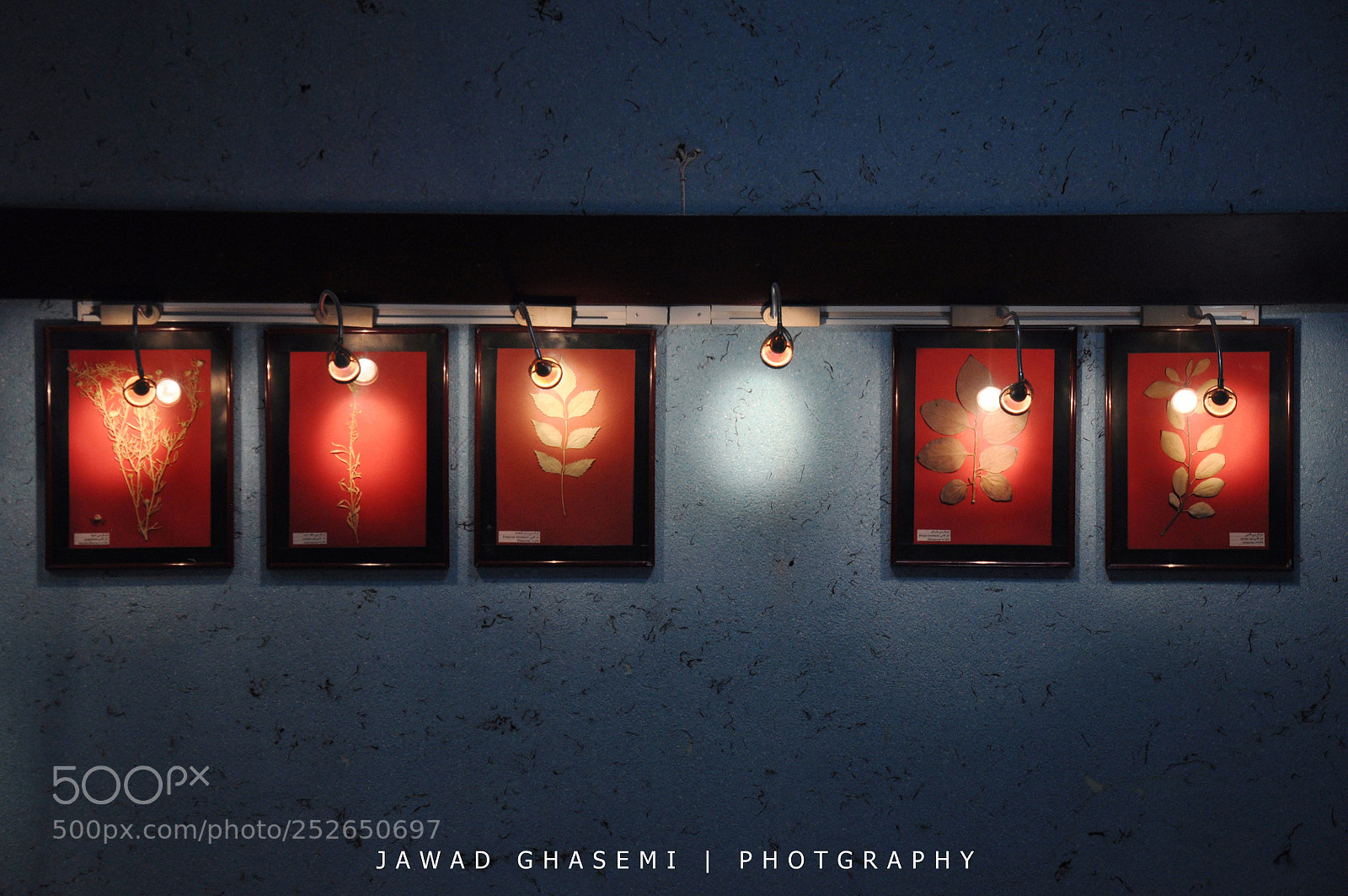 Nikon D90 sample photo. Untitled photography