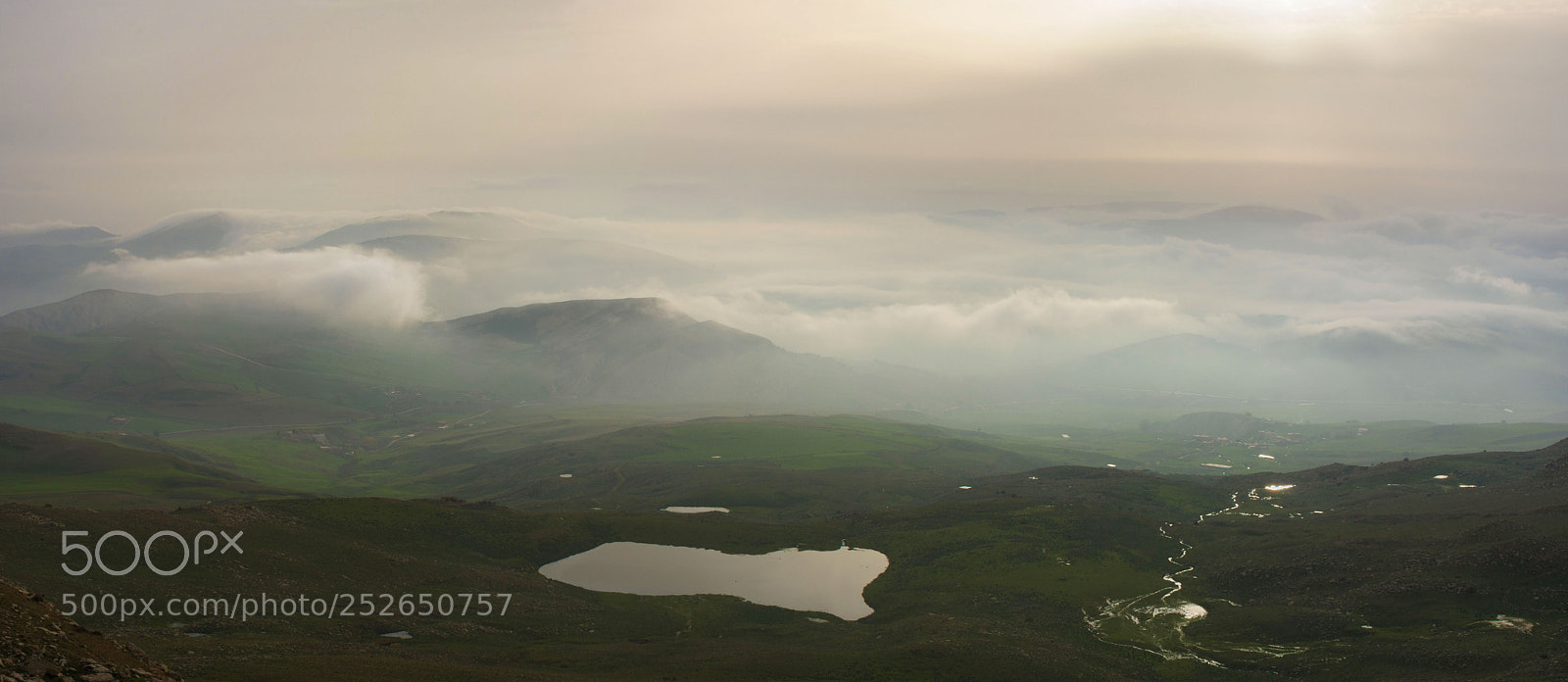 Nikon D7100 sample photo. Morning breath photography