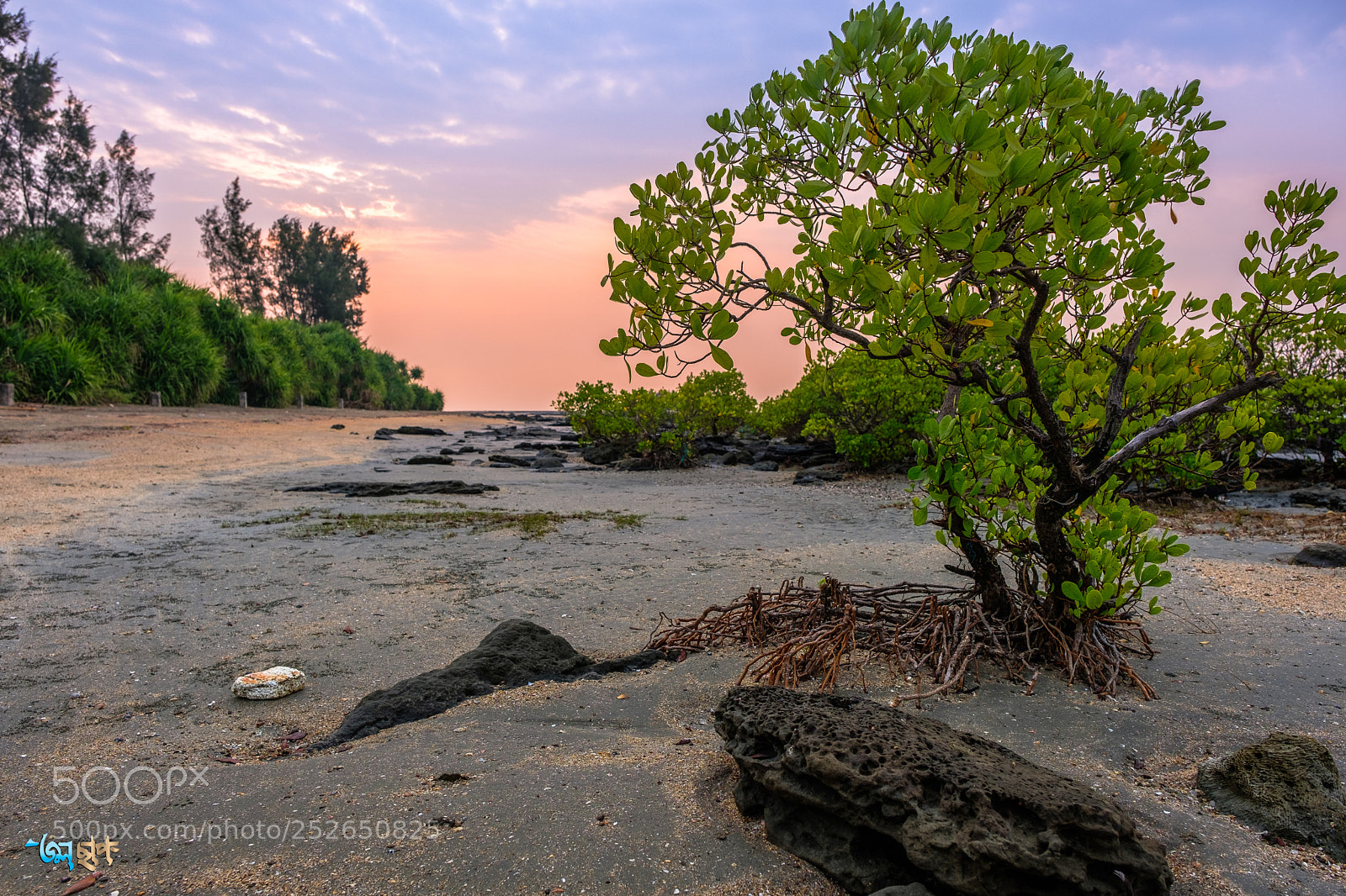 Fujifilm X-H1 sample photo. Sunrise in the island photography