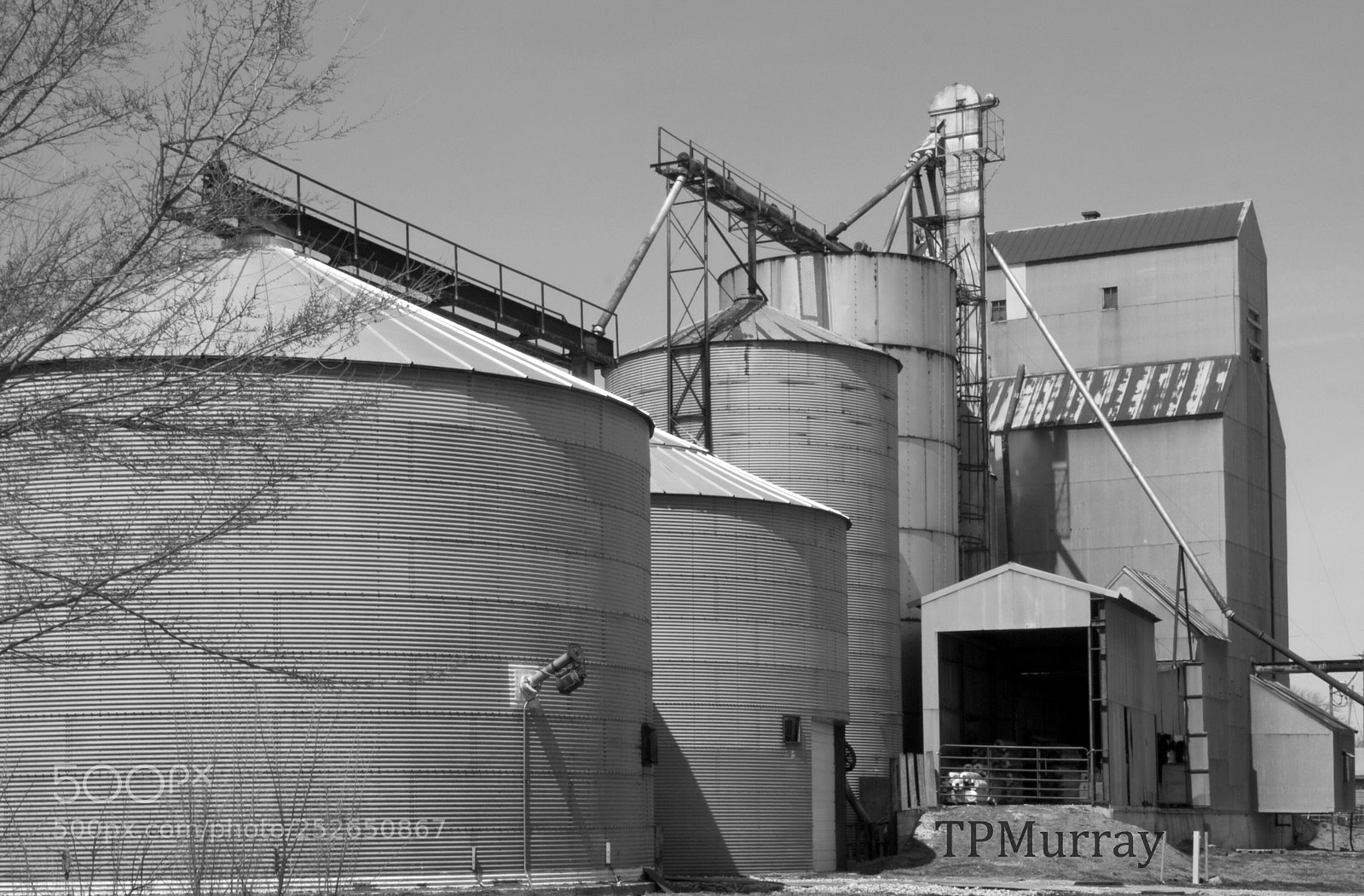 Canon EOS 600D (Rebel EOS T3i / EOS Kiss X5) sample photo. Farmers cooperative photography