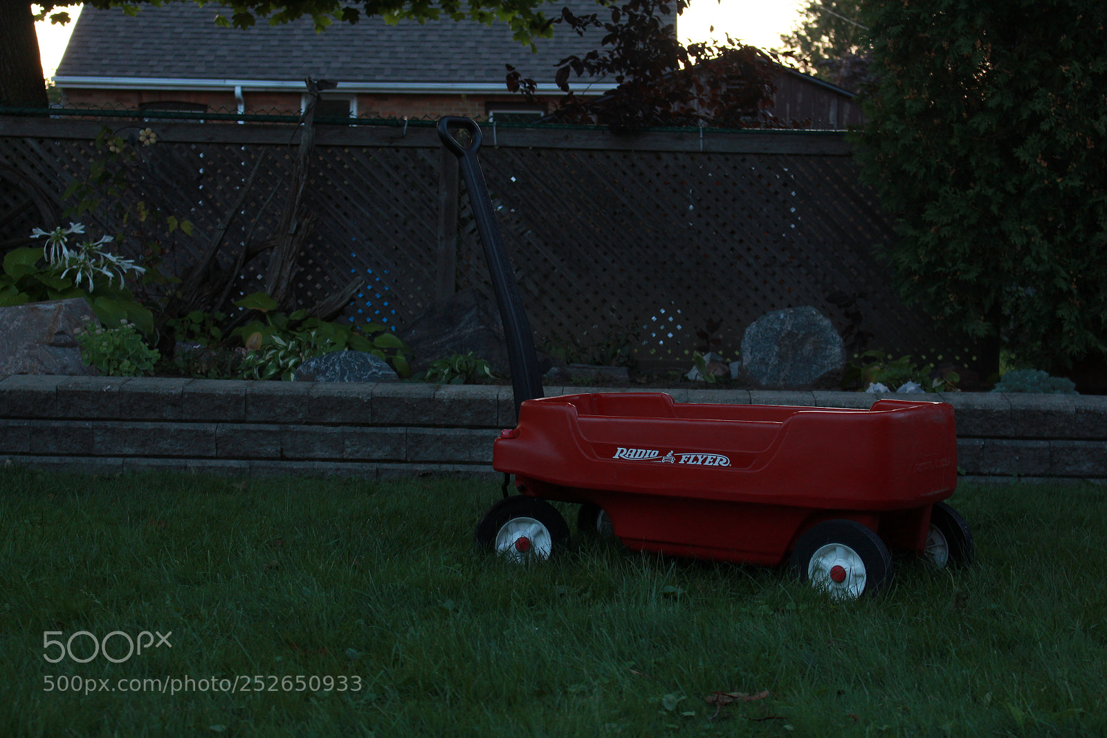 Canon EOS 700D (EOS Rebel T5i / EOS Kiss X7i) sample photo. 253 of 365 photography