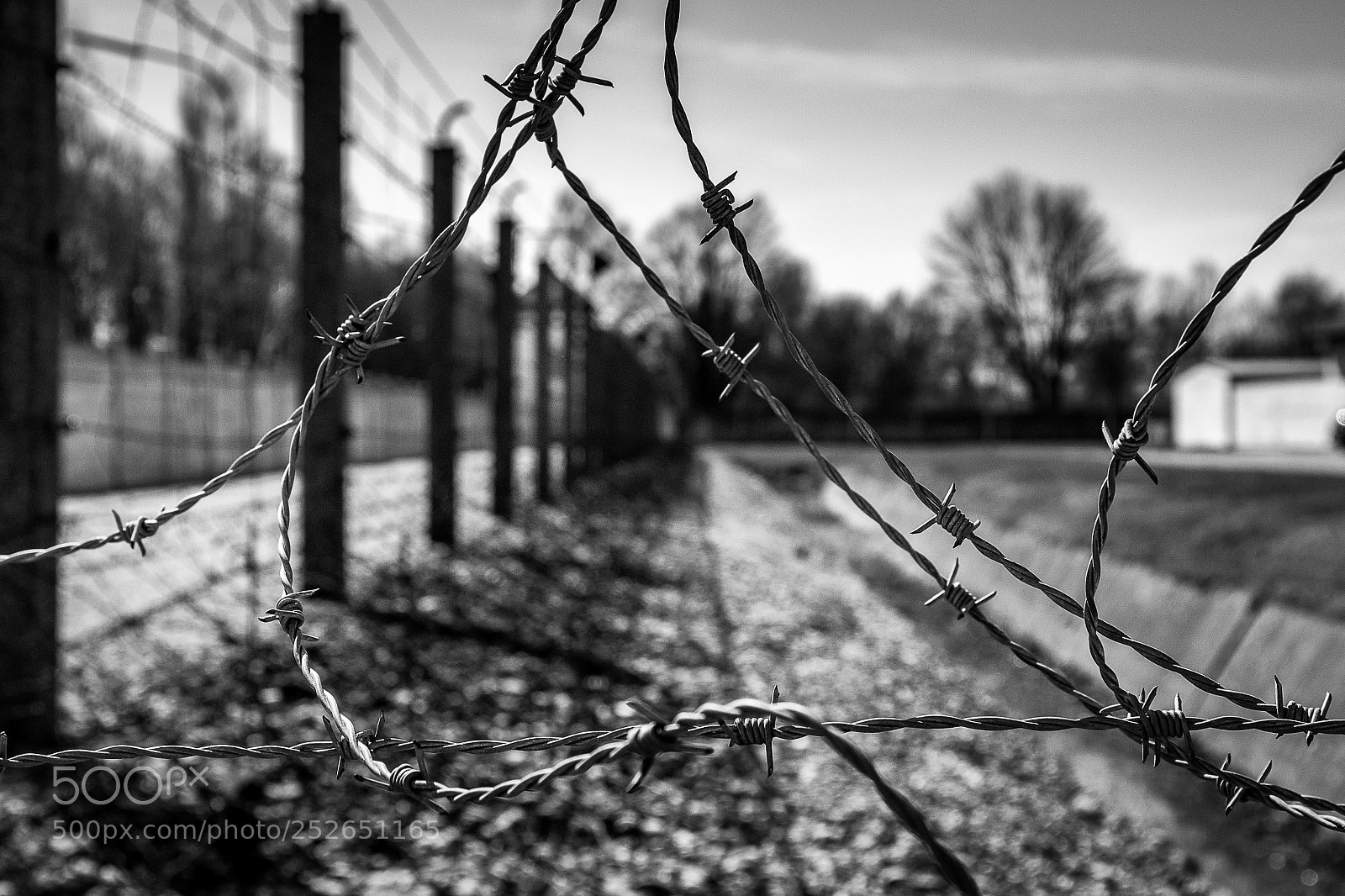 Canon EOS 100D (EOS Rebel SL1 / EOS Kiss X7) sample photo. Dachau - fences photography