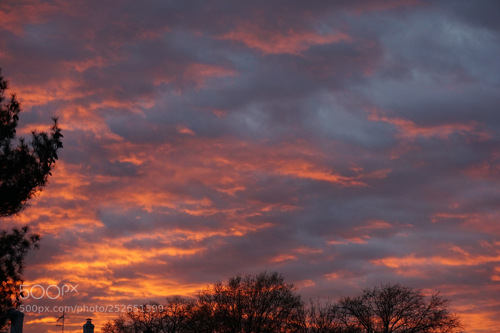 Sony a6000 sample photo. Dsc photography