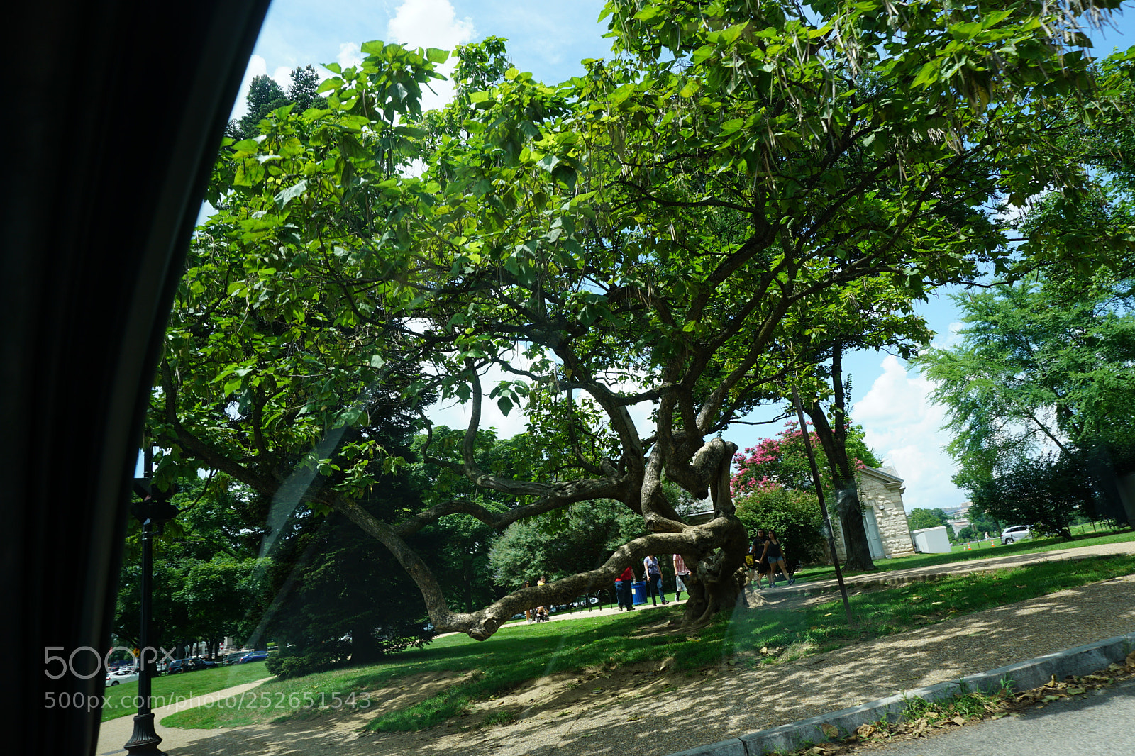 Sony a6000 sample photo. Dsc photography