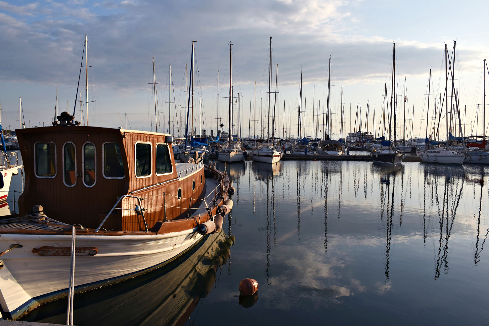 Nikon D5500 sample photo. Warm evening light photography