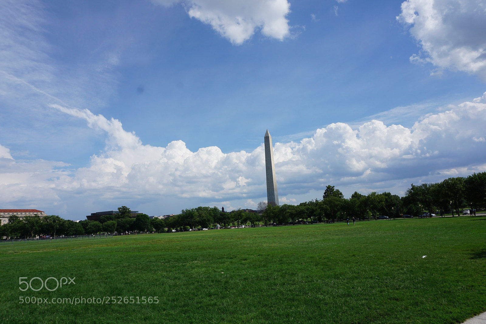 Sony a6000 sample photo. Dsc photography