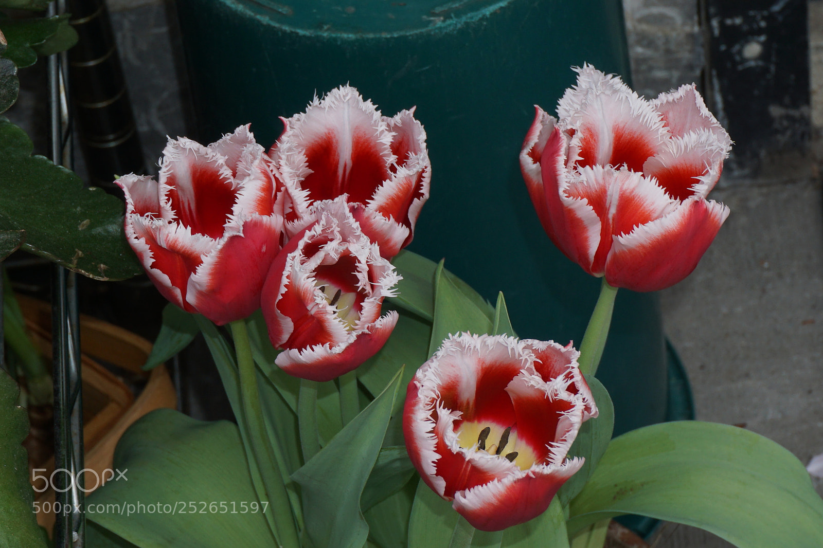 Sony a6000 sample photo. Dsc photography