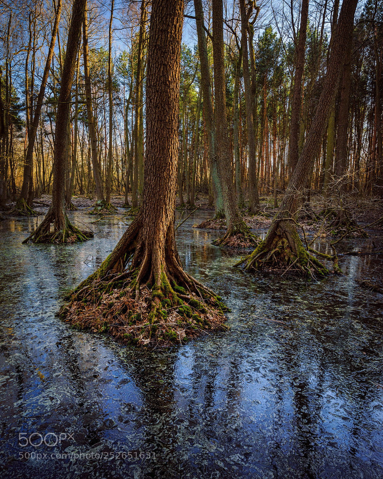 Sony a7 sample photo. Kindelsee-springluch photography