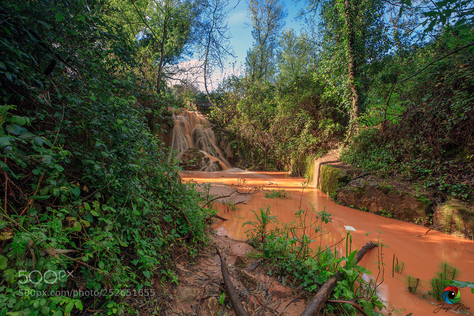 Canon EOS 5DS R sample photo. Cascata de caramelo photography