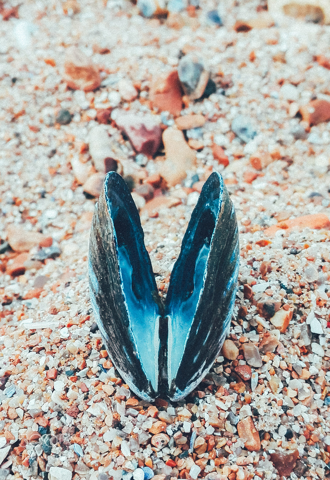 HUAWEI P8 Lite sample photo. Shapes of love photography
