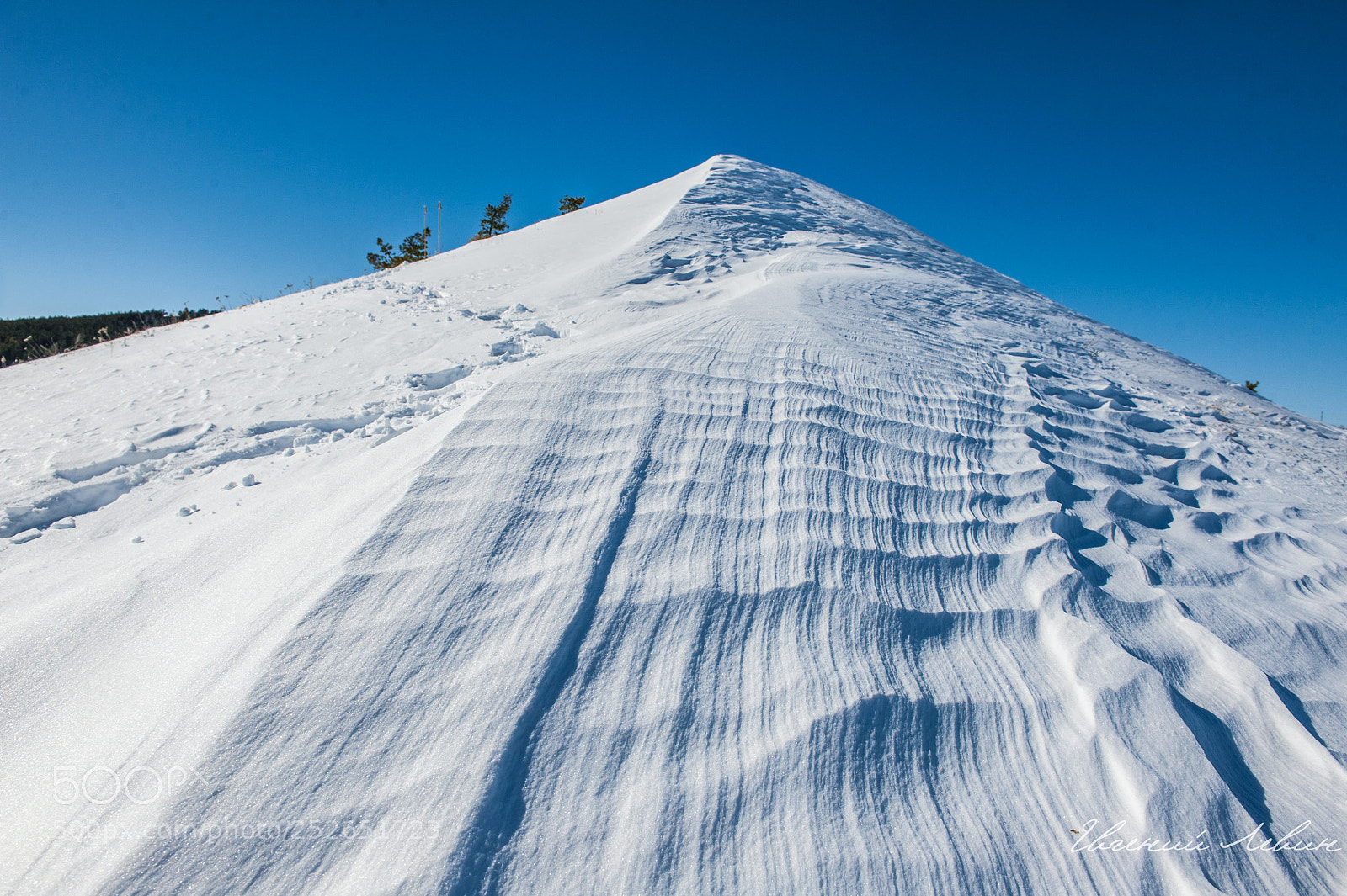 Nikon D700 sample photo. Wind and snow photography