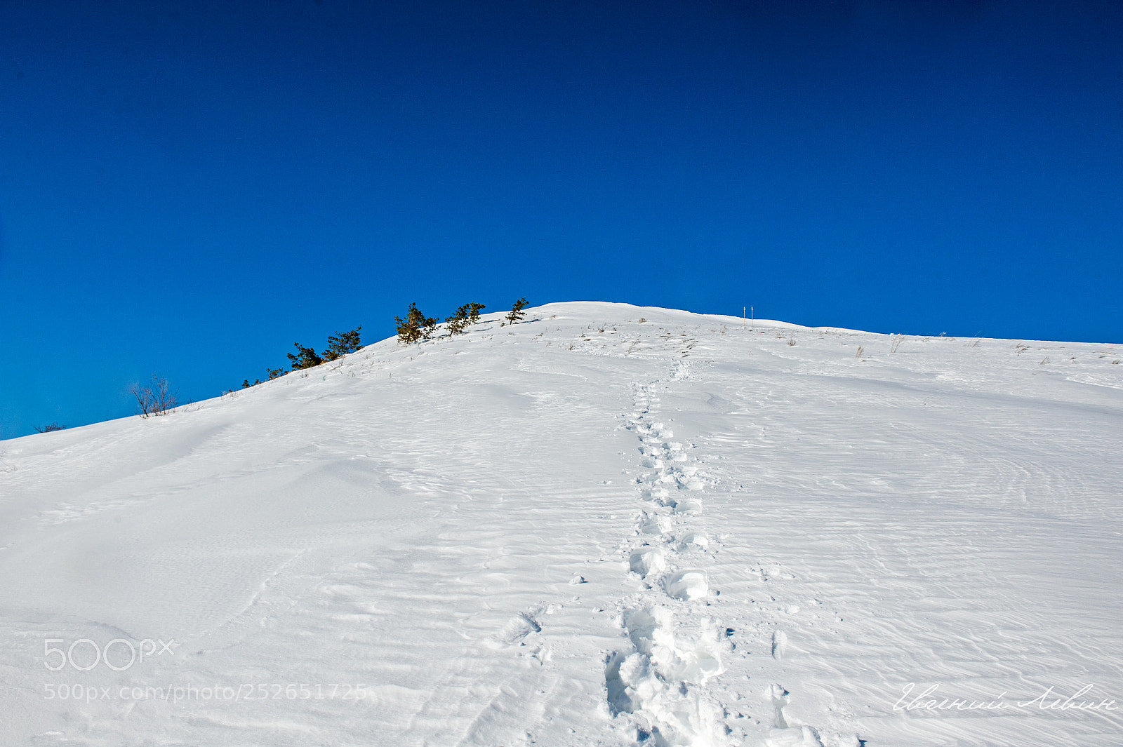 Nikon D700 sample photo. Up photography