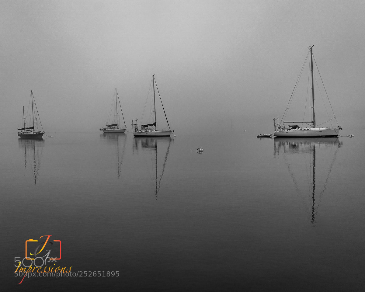 Sony a9 sample photo. Foged in at dawn photography