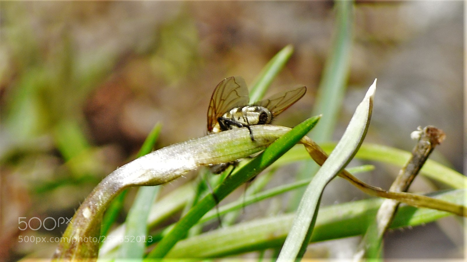 Nikon D3200 sample photo. Untitled photography