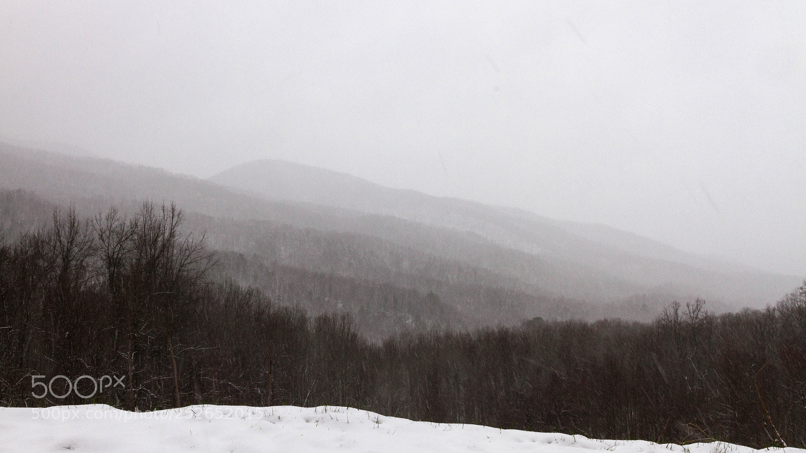 Canon EOS 7D sample photo. Snow in the smokies photography