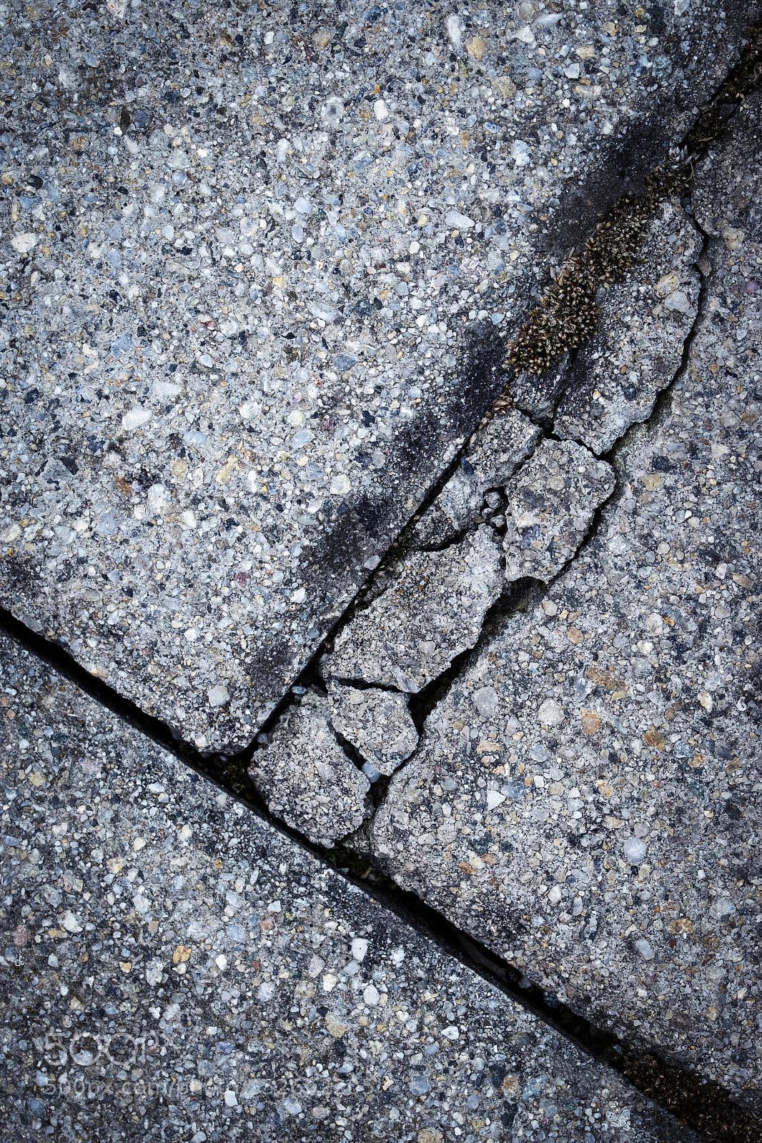 Nikon D5500 sample photo. Cracked concrete pavement photography