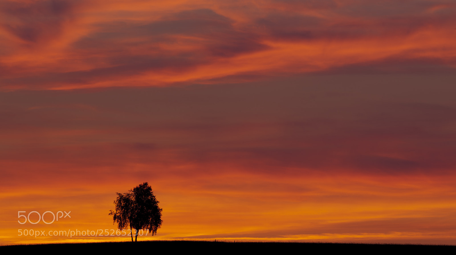Canon EOS 5D Mark II sample photo. Pyrenees photography