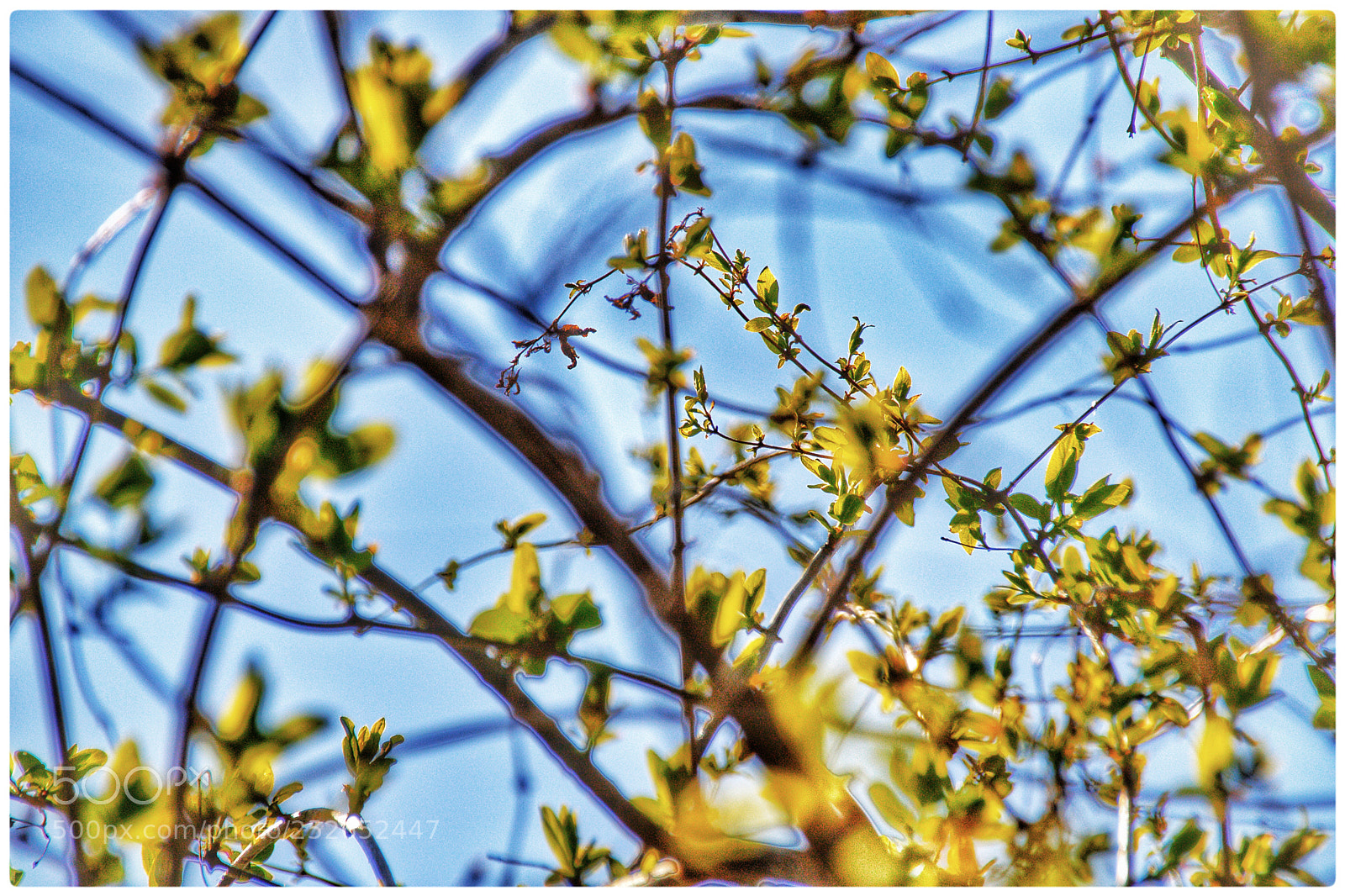 Canon EOS 760D (EOS Rebel T6s / EOS 8000D) sample photo. Spring is a live photography