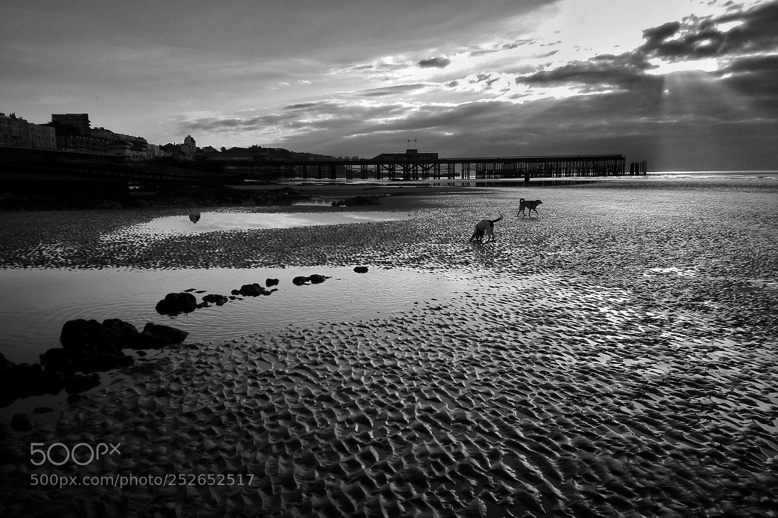HUAWEI P8 Lite sample photo. Low tide in the photography
