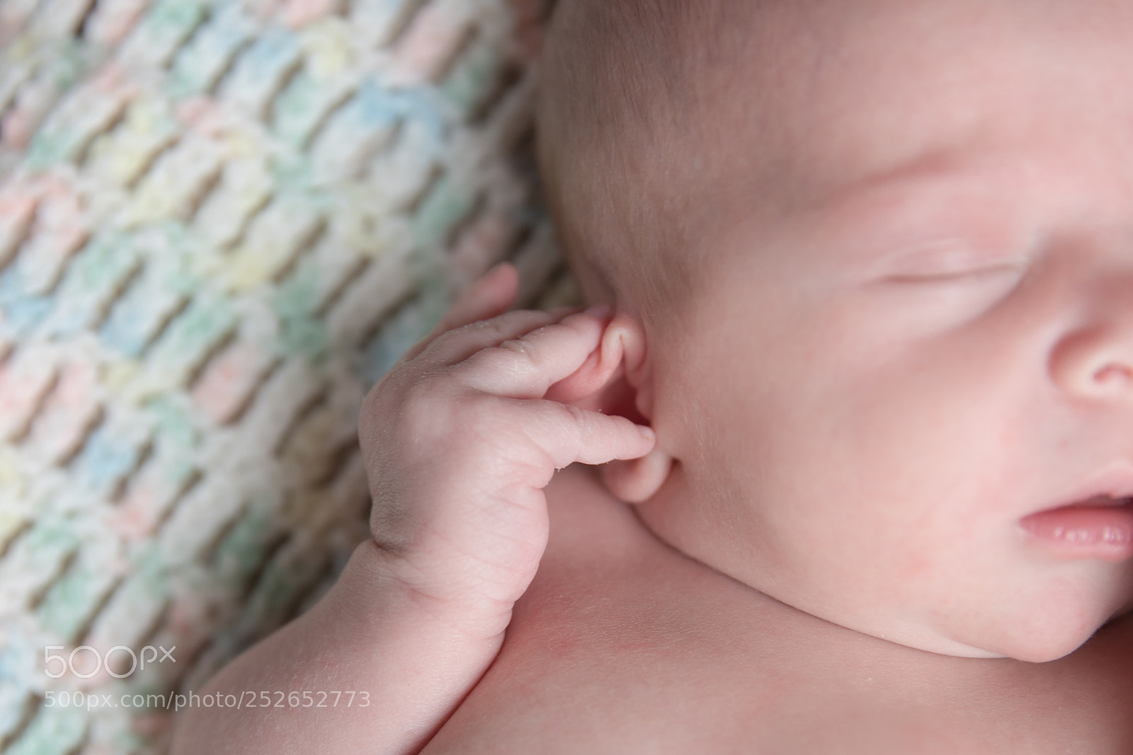 Canon EOS 6D Mark II sample photo. Not listening. photography