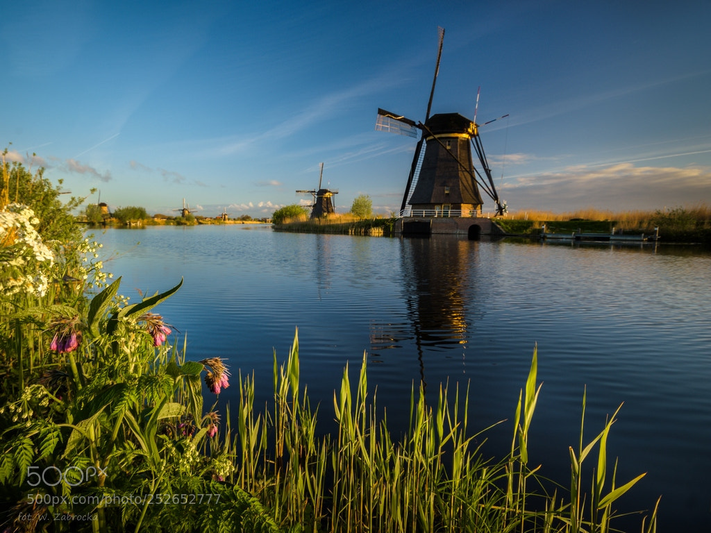Nikon D7200 sample photo. In the morning photography