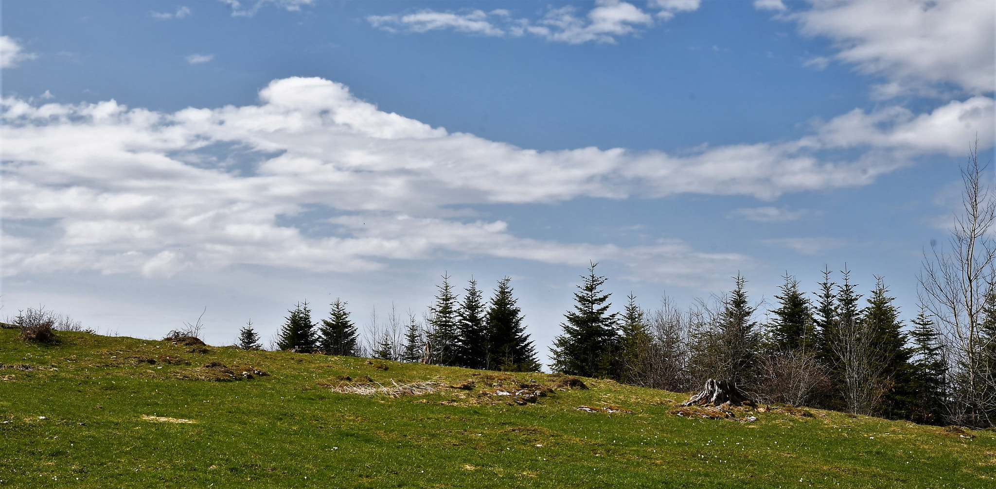 Nikon D500 sample photo. Franches-montagnes photography