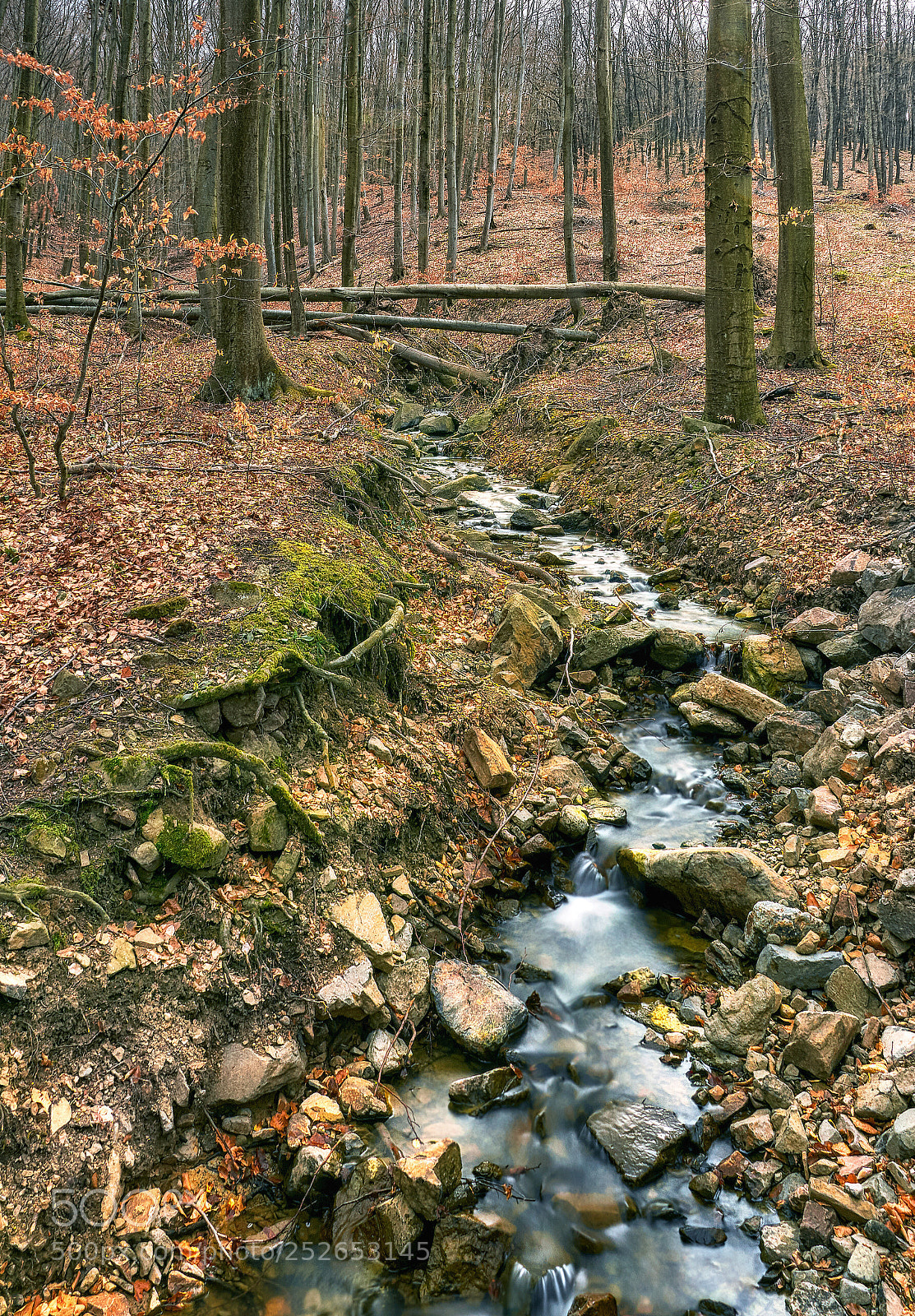 Nikon D7200 sample photo. Mountain river photography