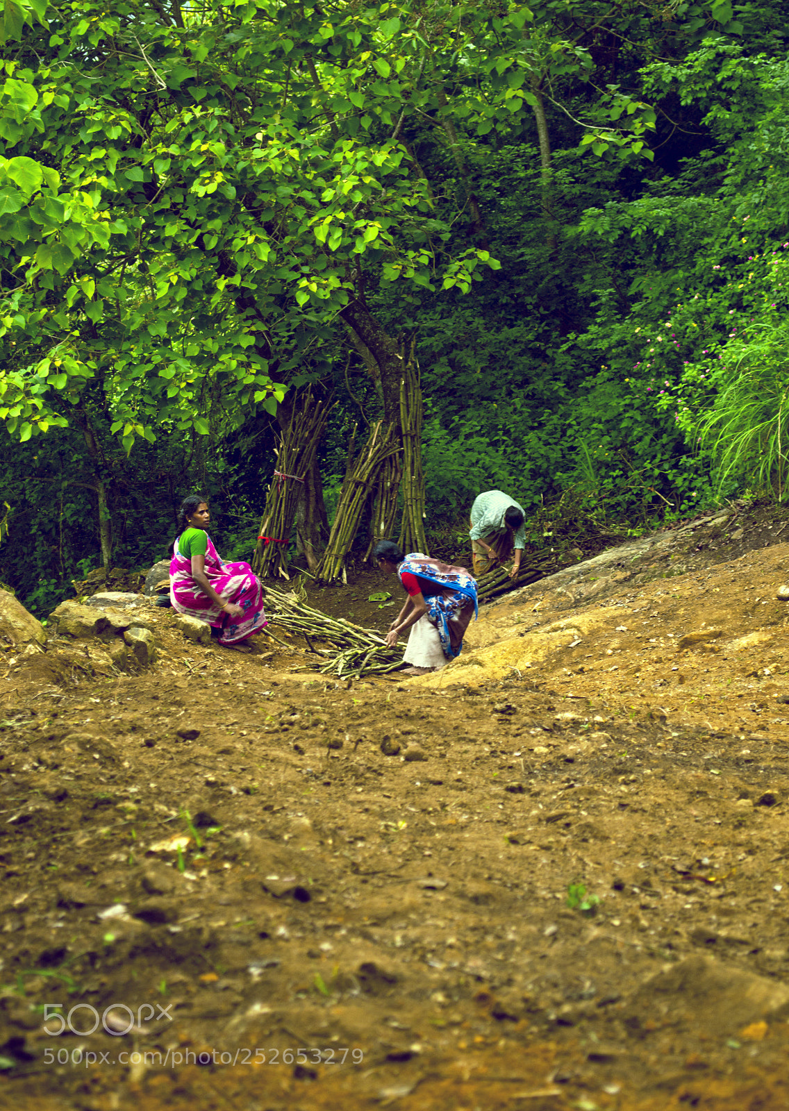 Nikon D3100 sample photo. Women at work photography