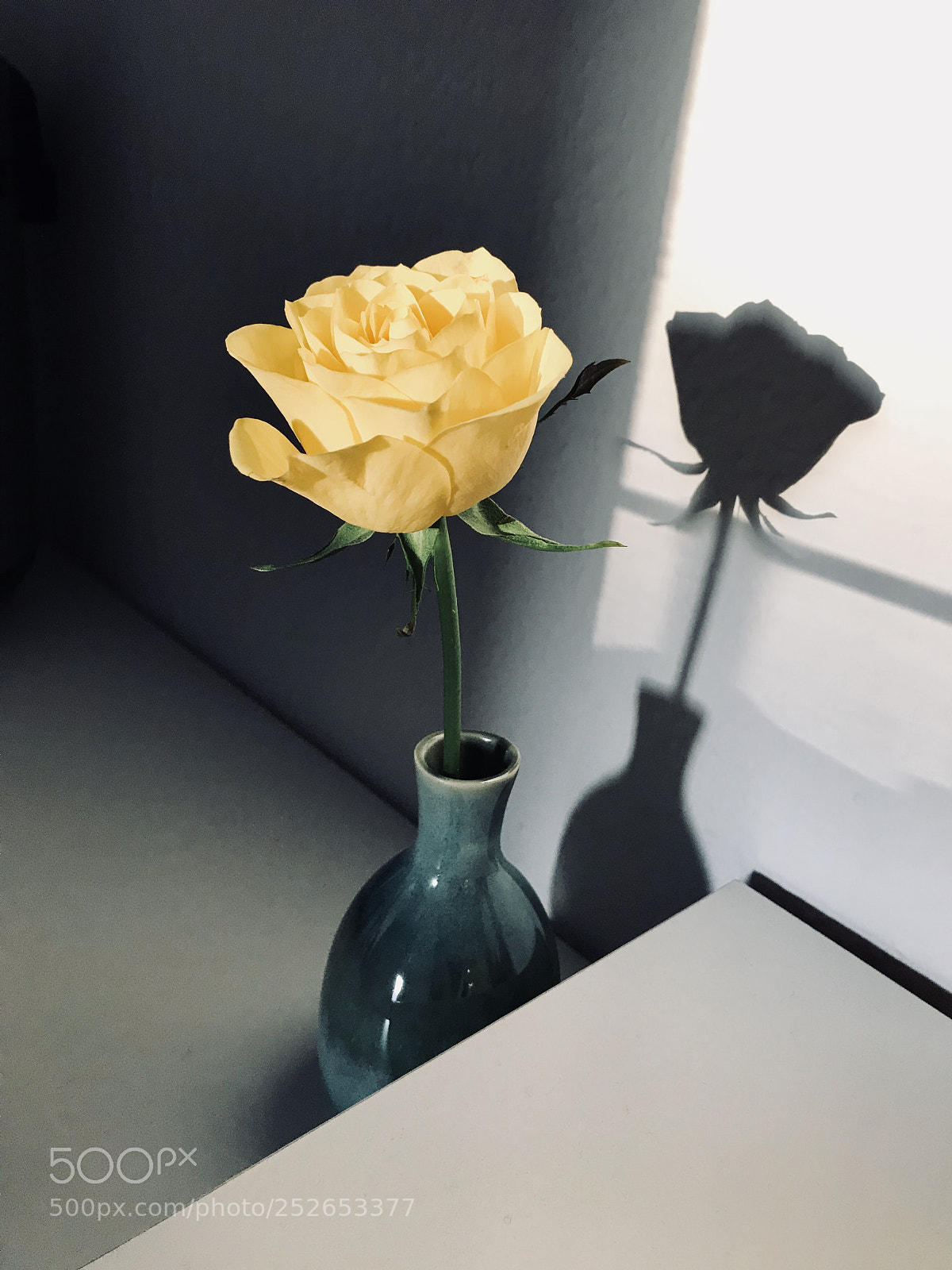 Apple iPhone 7 sample photo. Untitled photography