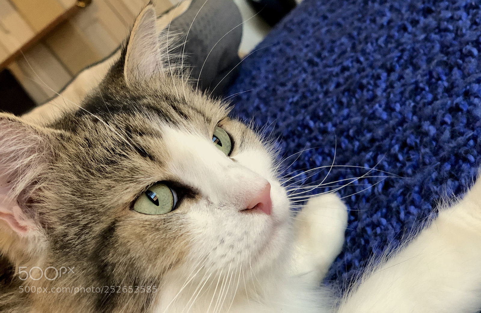 Apple iPhone X sample photo. Remy photography