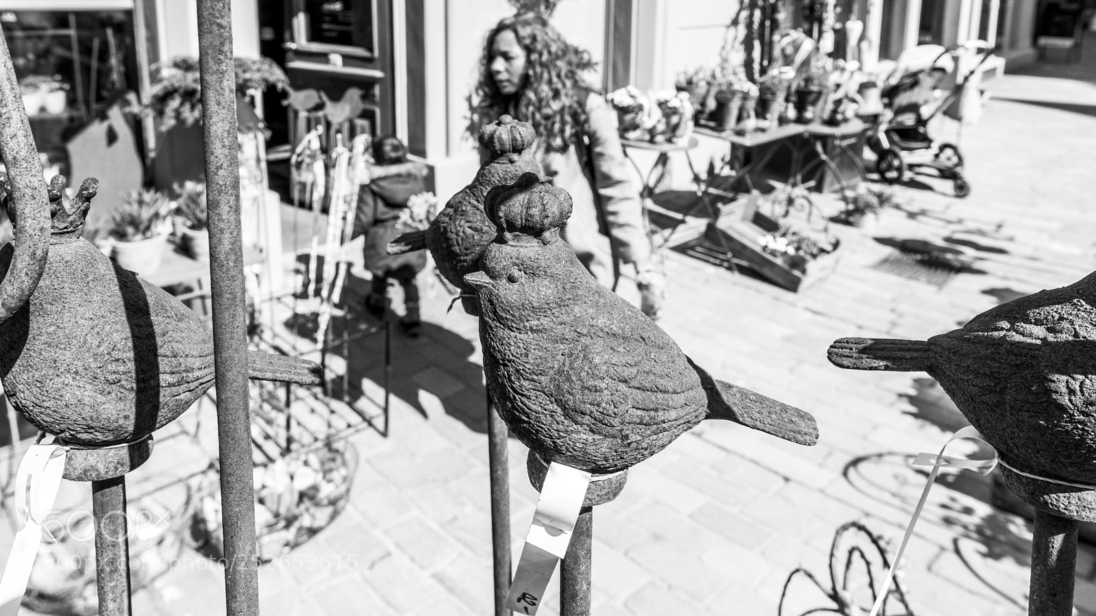 Fujifilm X-T2 sample photo. Birdie photography