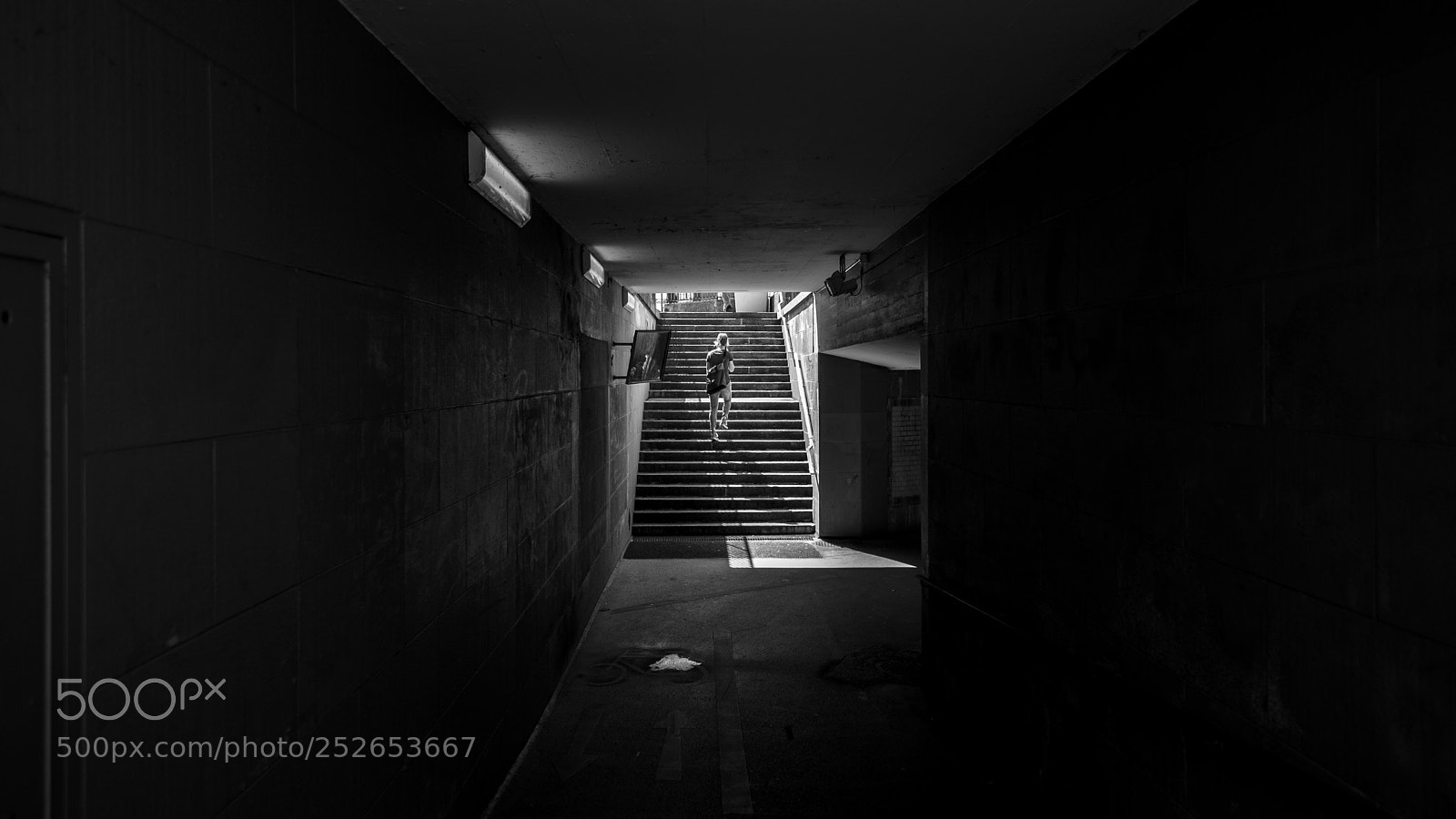 Fujifilm X-T2 sample photo. Sub photography