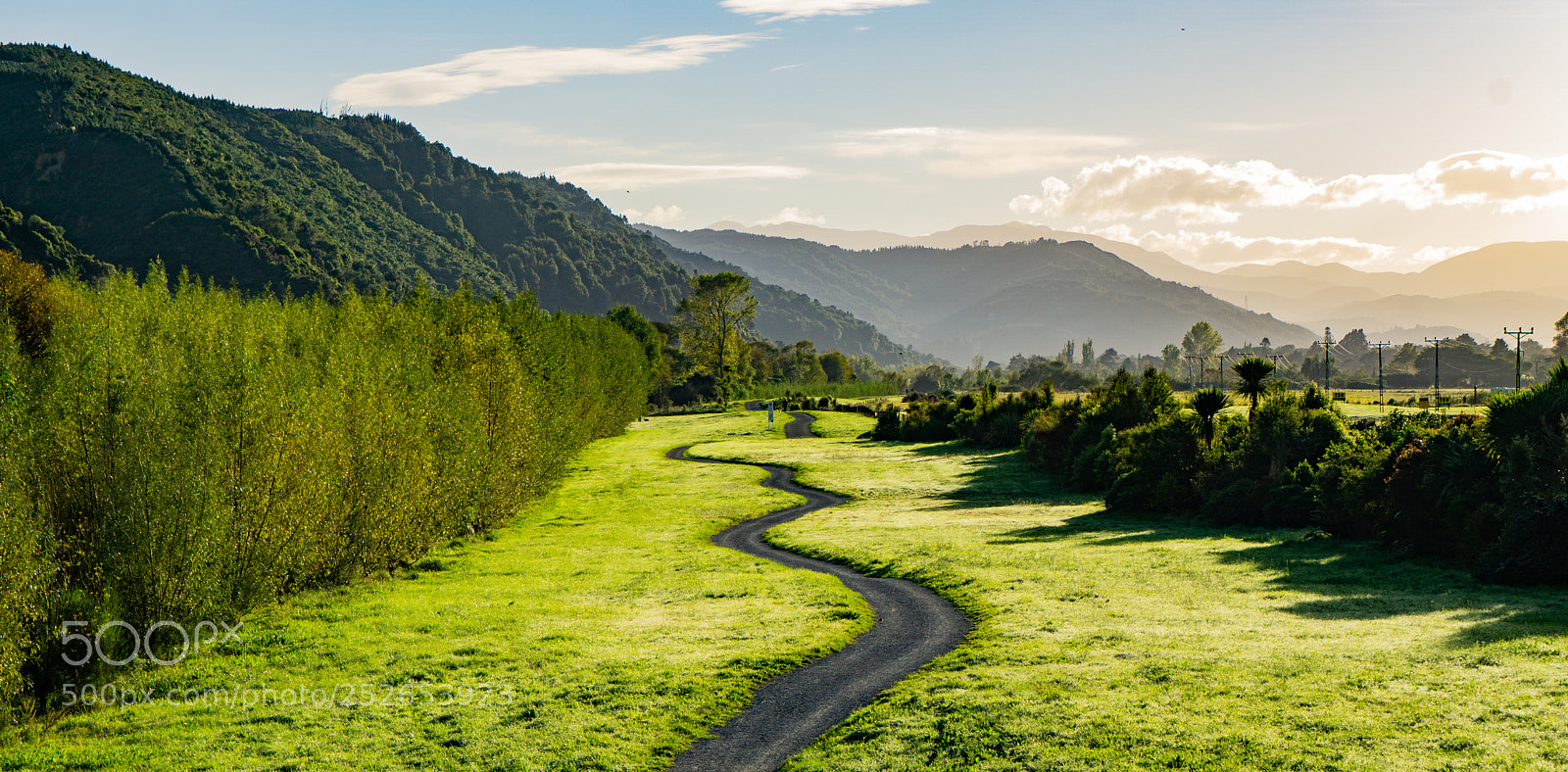 Sony a6000 sample photo. Upper hutt autumn photography